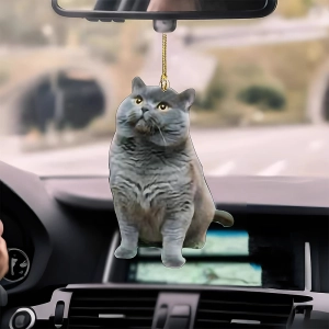 подвеска в салон автомобиля