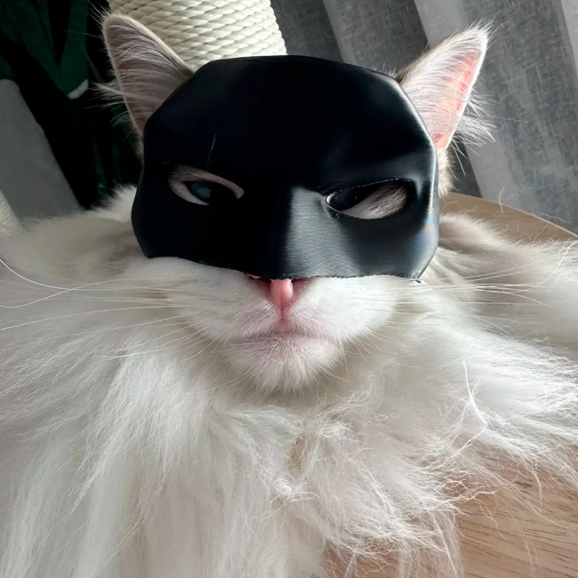 котяча маска Бетмен