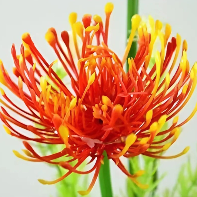 светодиодный цветок для сада