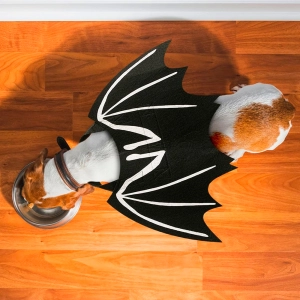 Крылья летучей мыши собаке крылья летучей мыши собаке