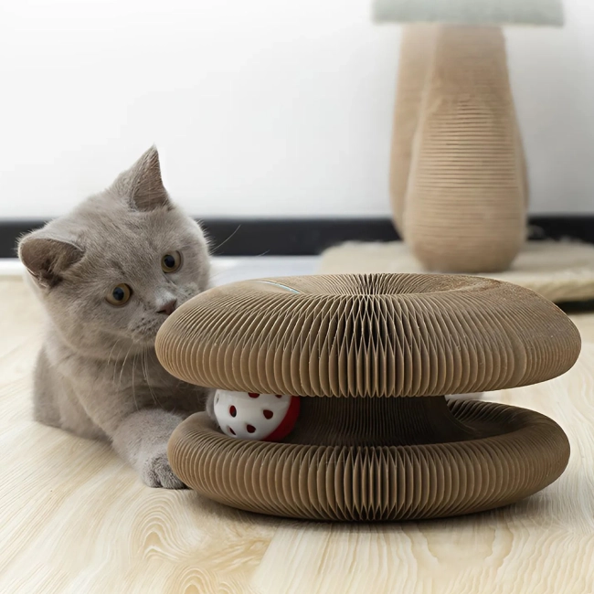 когтеточка-лежанка