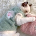 кофта для тварини