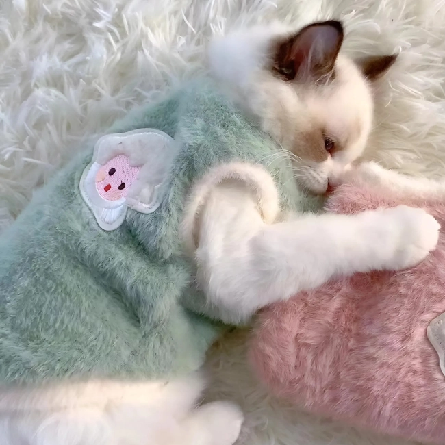 кофта для животного