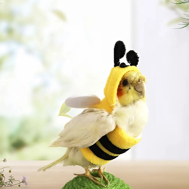 костюм попугаю