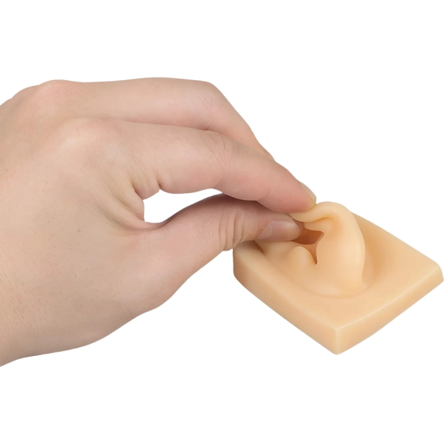 тренировочное ухо