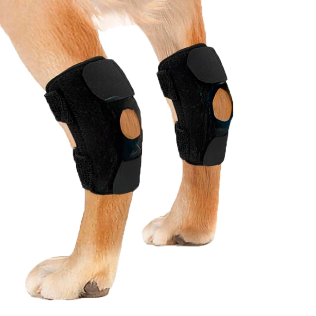 бандаж для суглобів собак