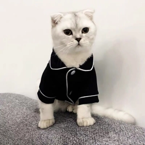 Пижама для котов и кошек пижама для котов