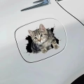 наклейка кота на машину