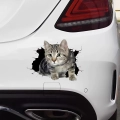 наклейка з котом на авто