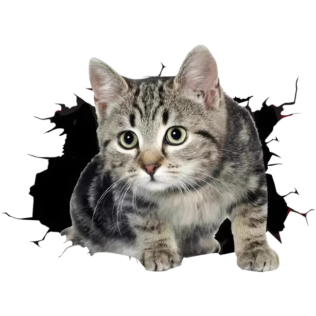 наклейка на корпус автомобиля