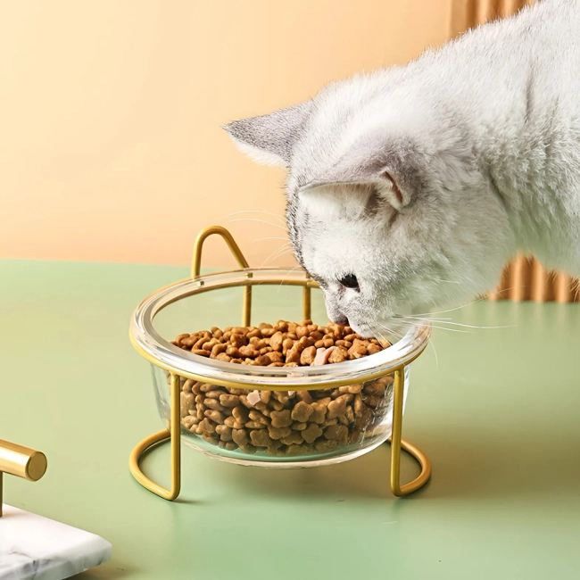 миска з підставкою для корму