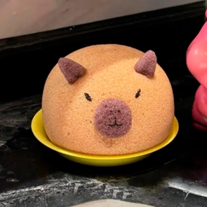 мочалка капибара