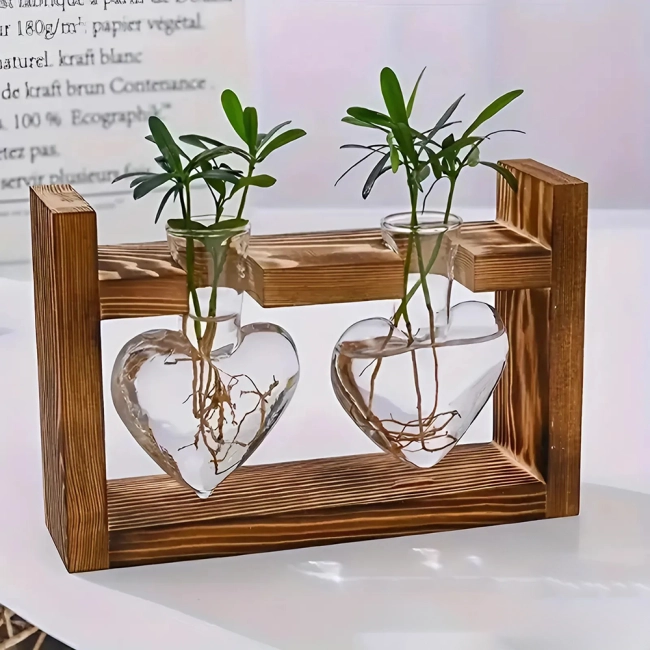 гидропонная ваза для растений