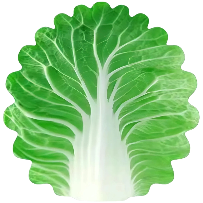 декоративный плед