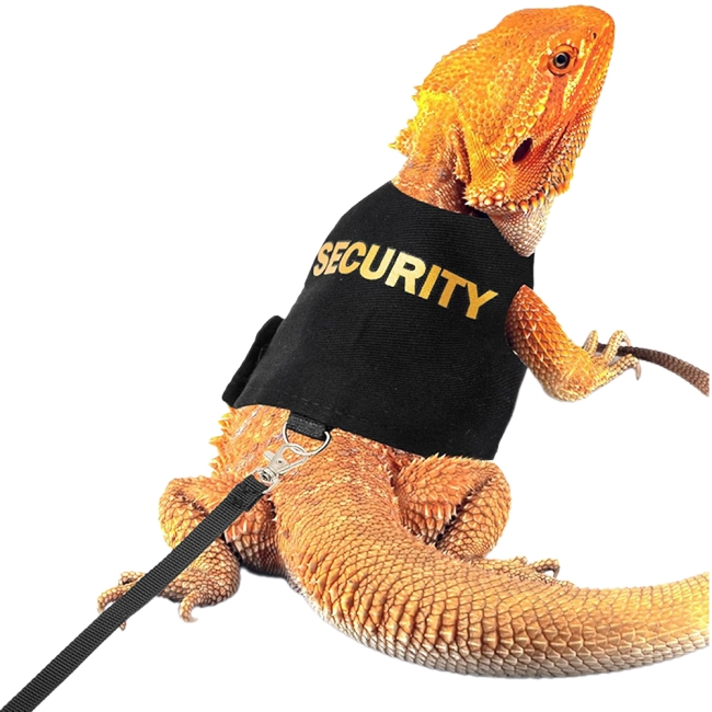 комплект поводок и шлейка