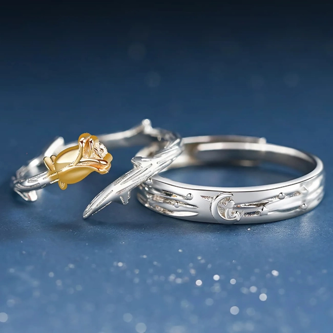 кольца с маленьким принцем