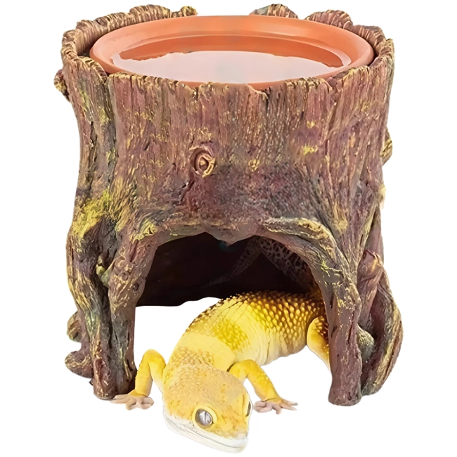 укрытие в террариум