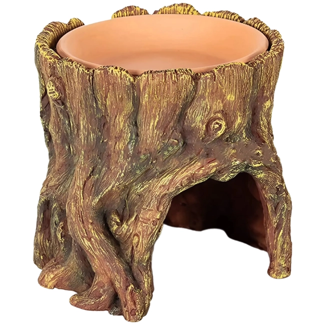 убежище для ящерицы