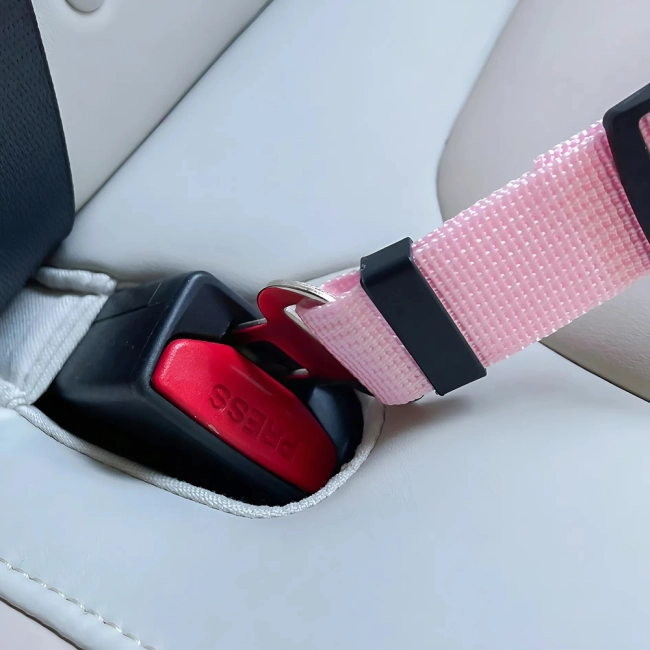 повідець у машину