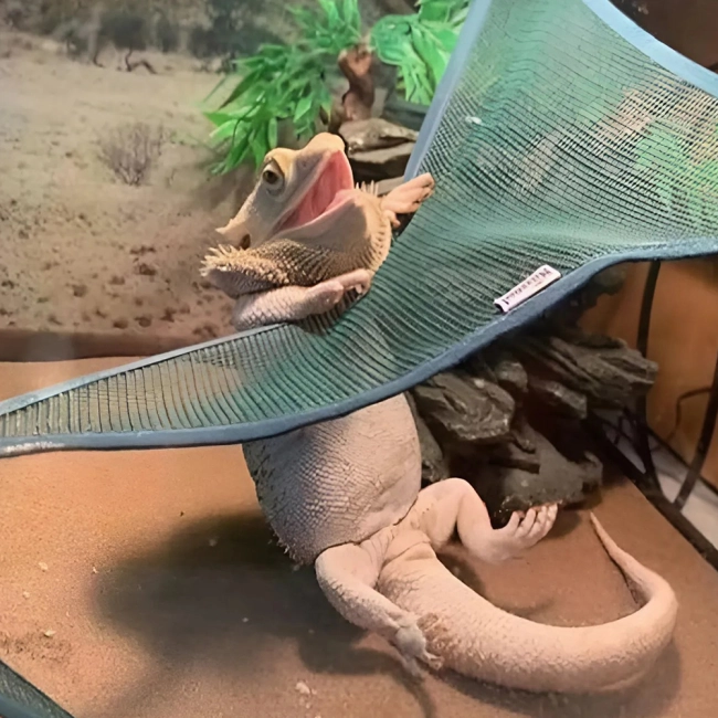 гамаки с присосками