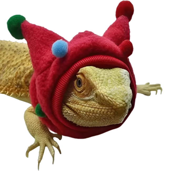 шапка ящерице