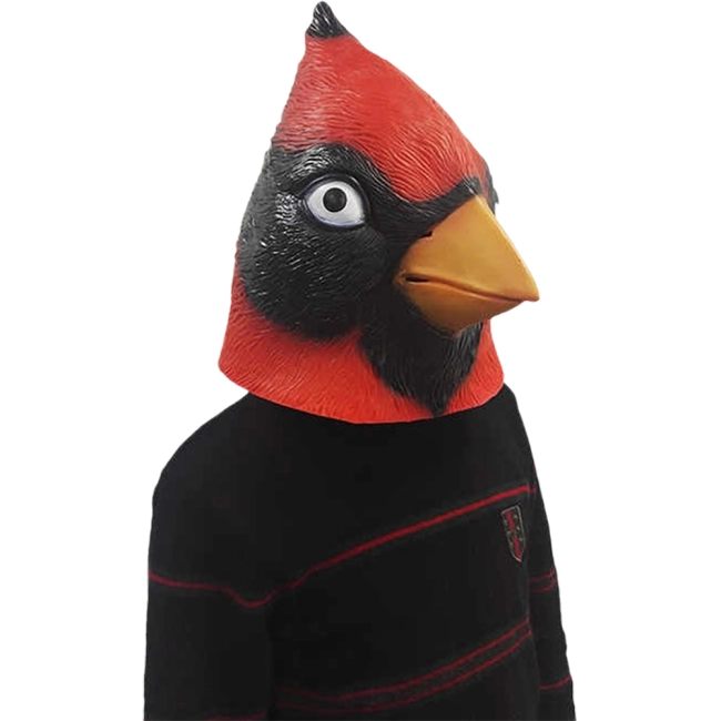 маска в виде птицы