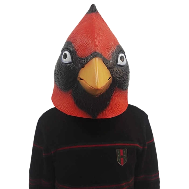 маска в форме птицы