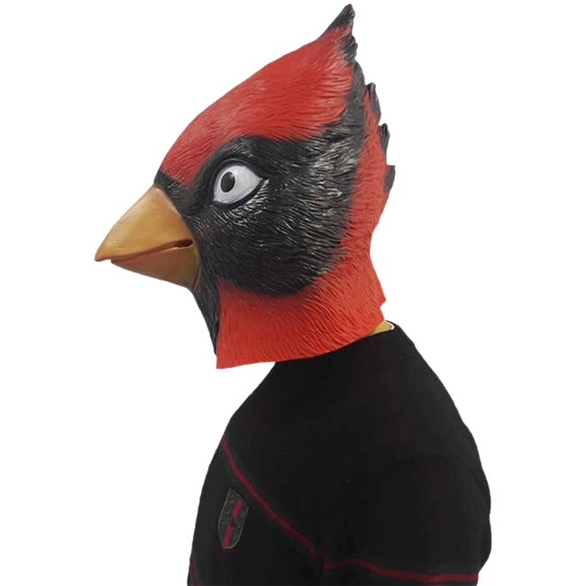 маска в виде птицы