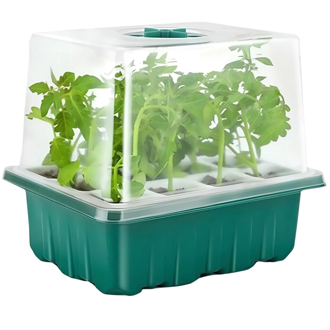 Міні-парник для розсади