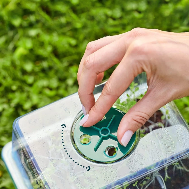 міні-парник з кришкою