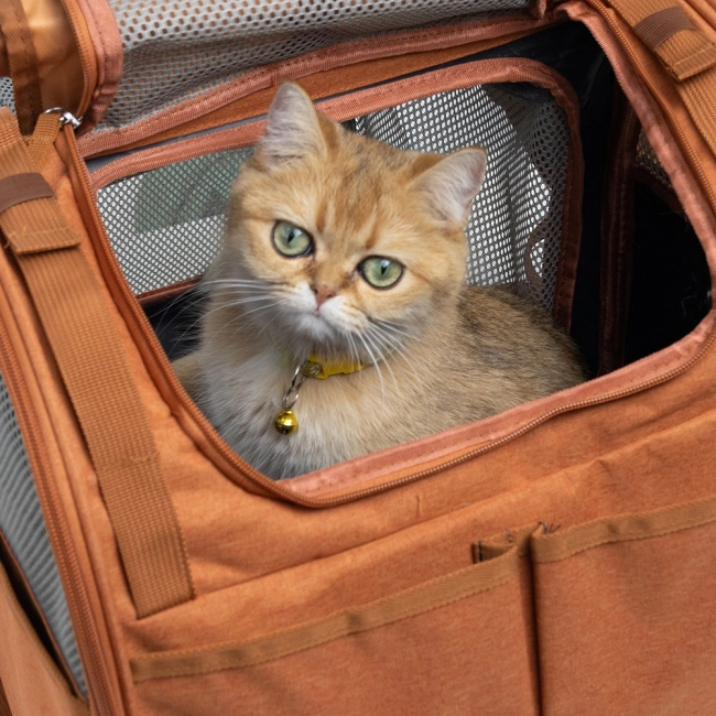 переноска-трансформер для кошек