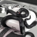 чохол для Airpods