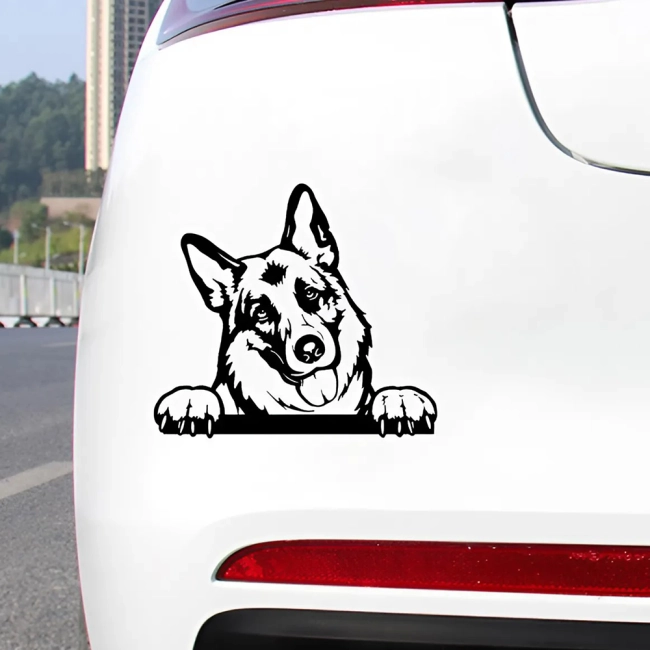 автомобильная наклейка на кузов