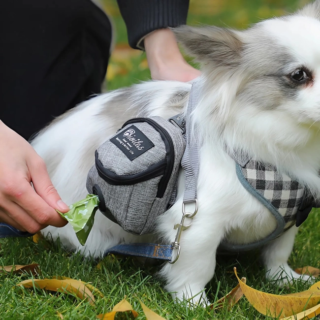 Сумка для ласощів собаці