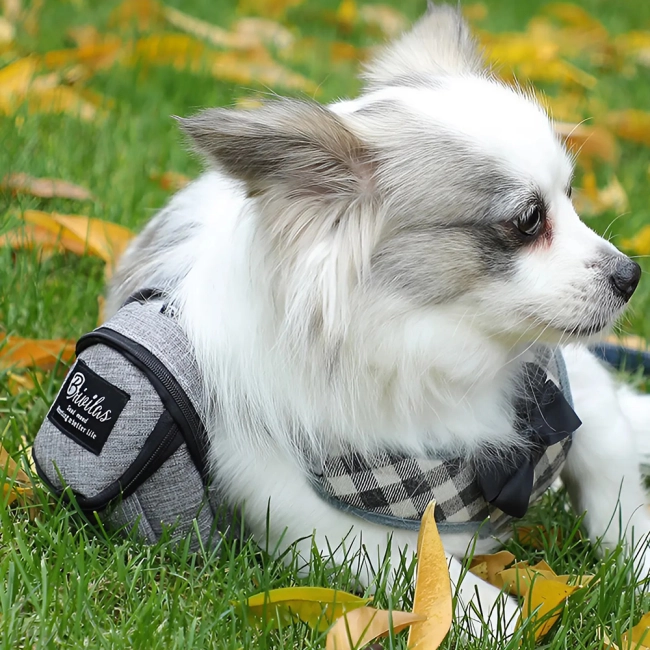 сумка для вигулу собак