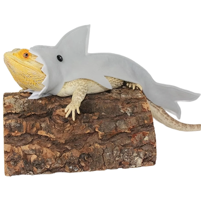 одяг на ящірку