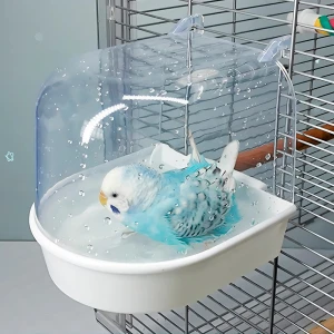 купалка для попугаев