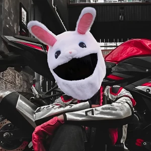 чехол для шлема