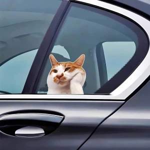 наклейка на корпус машины