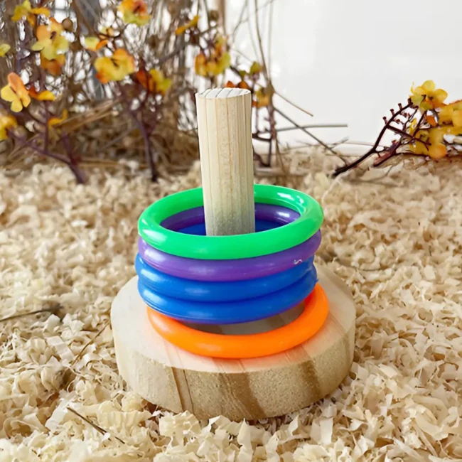 игра с кольцами для попугаев