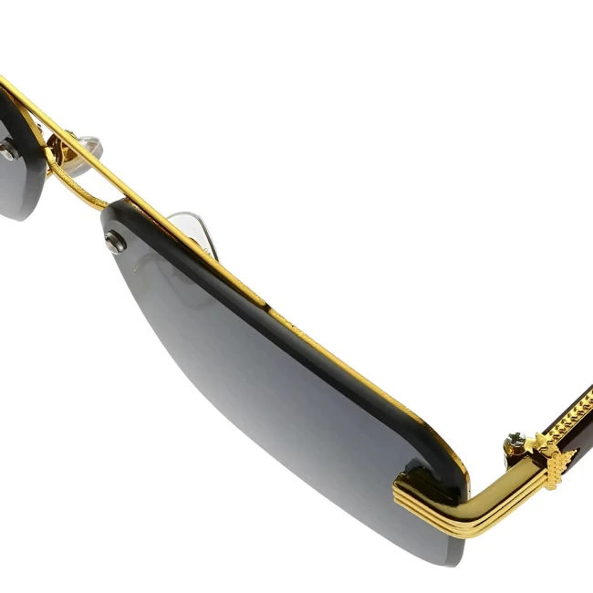 сонцезахисні окуляри з подвійним переніссям