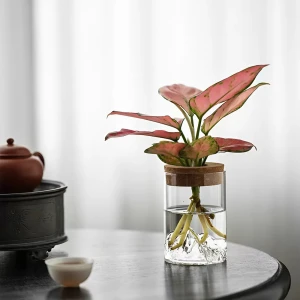 Прозорий горщик для квітів з горами прозорий горщик