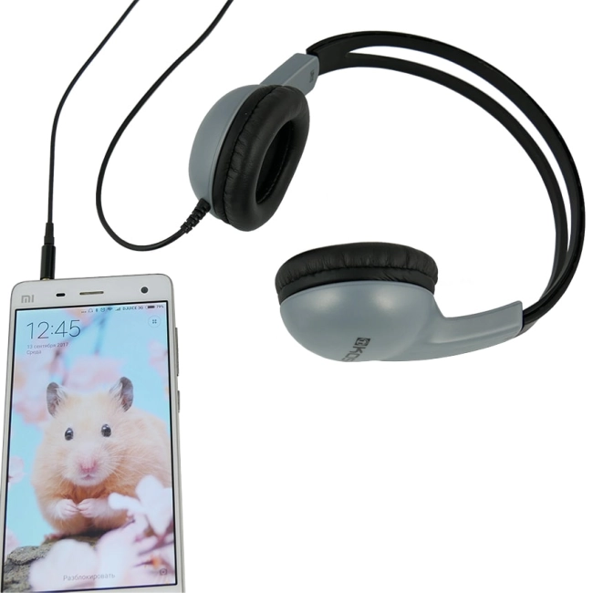 аудіо подовжувач з мікрофоном та пультом