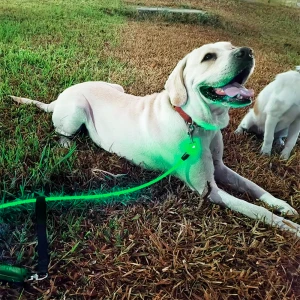 Светящийся поводок для собак USB поводок для собак