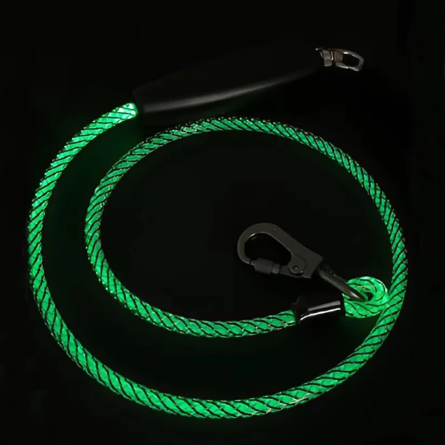 повідець для вигулу