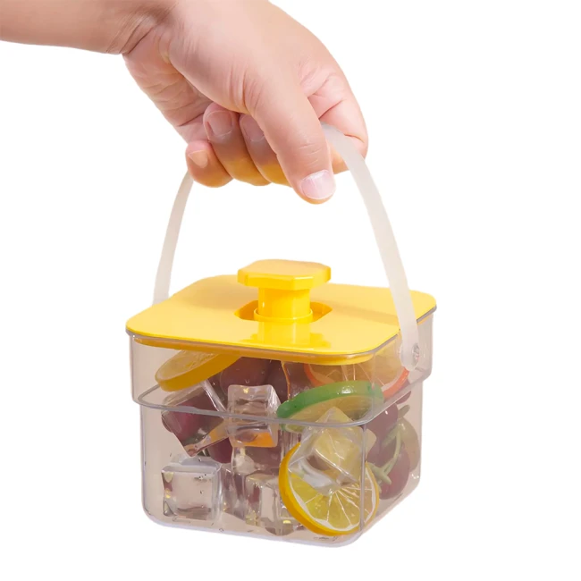 контейнер з формою для льоду