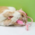 головной убор для кота