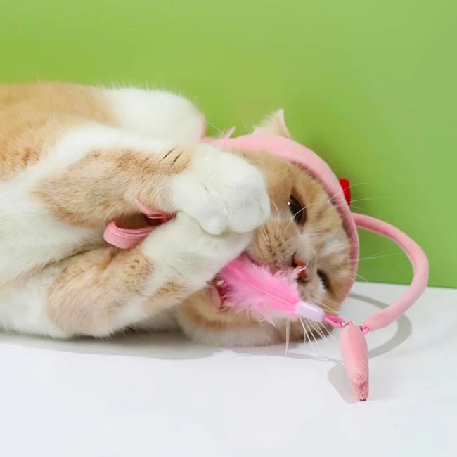 головний убір для кота