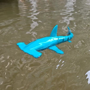 водная акула