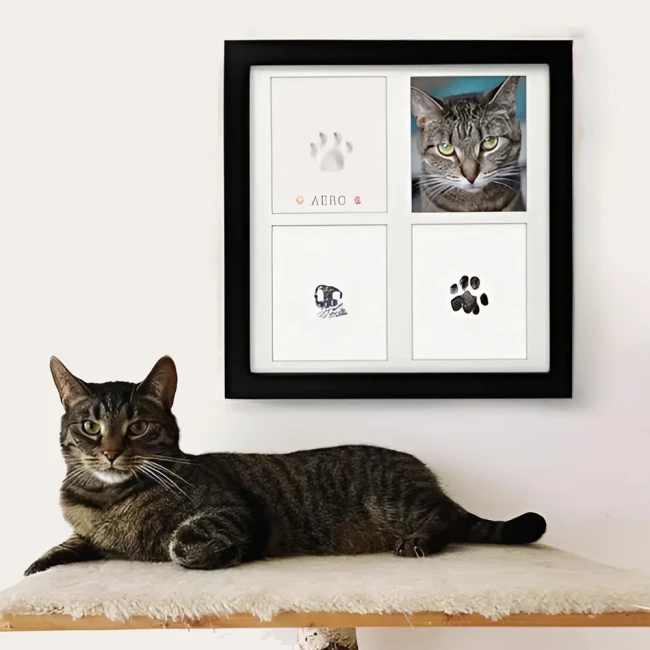 набор для отпечатков лап